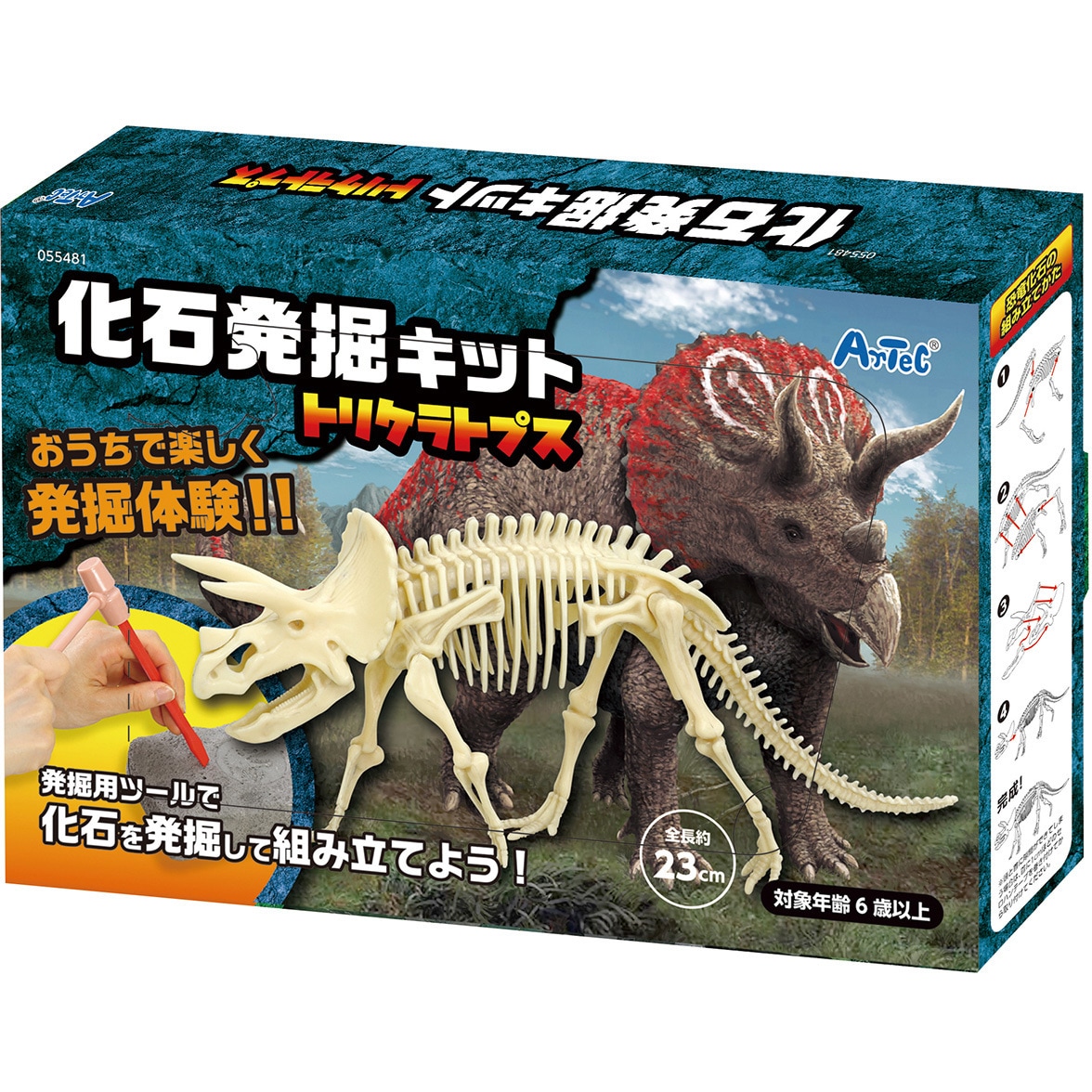 55481 化石発掘キット トリケラトプス 1個 アーテック[学校教材・教育