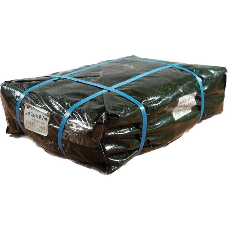 3000ODG1010 #3000 ODグリーンシート モリリン 呼び縦10m横10m 9,475円