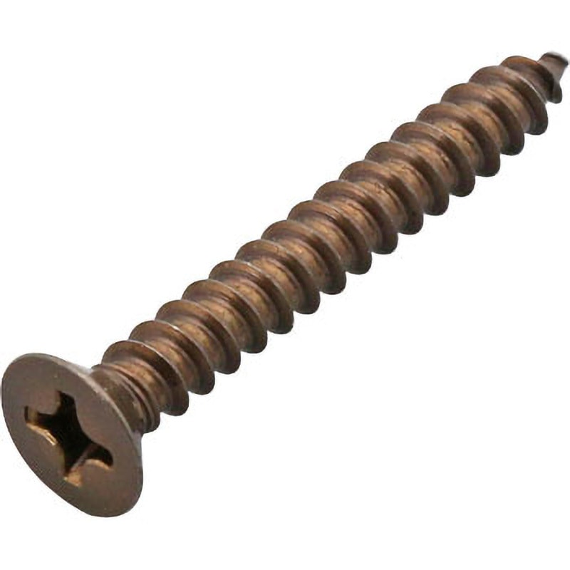 ステン（＋）Ａサラ　４　Ｘ　６０　×４８００ ＣＡＰ（ＮＢＩ（日本鋲螺 《標準(または鉄)⁄ニッケル》 | ｷｬｯﾌﾟﾎｰﾛｰ