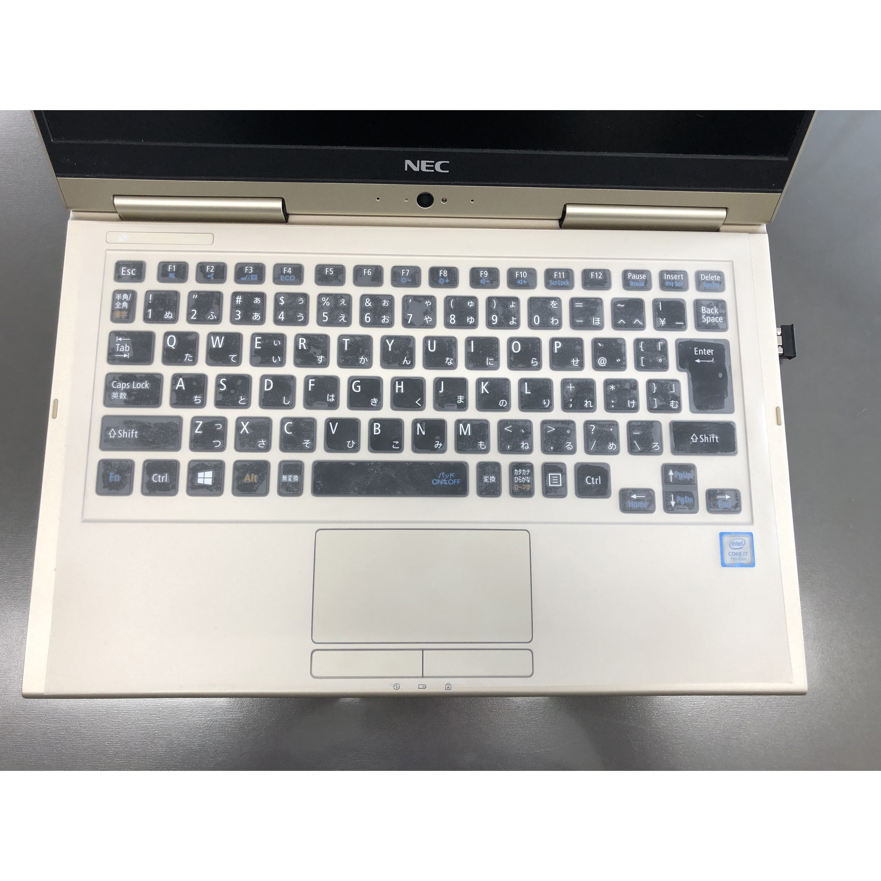 どこでも抗菌シート ウィスタリア ノートPC用/デスクトップ用