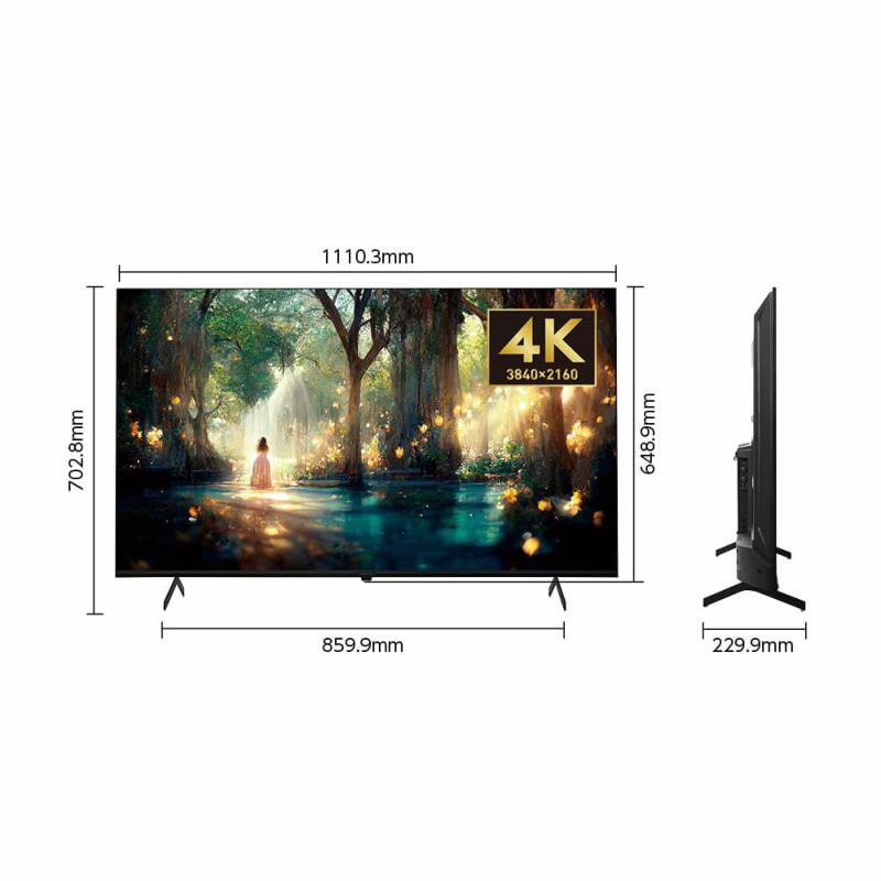 ORION 50型液晶テレビ OL50XD100　ジャンク品 ORION 50型液晶テレビ OL50XD100 ジャンク品 オリオン OL50XD100 [50