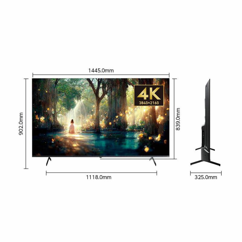 4K対応・HD・FHD スマートテレビ SMART TV series 65型サイズ OSR65G10