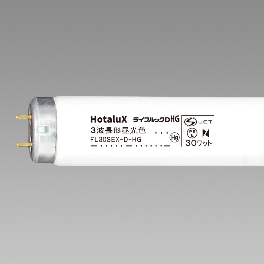 FL30SEX-D-HG2 ライフルック HG HotaluX(ホタルクス) スタータ形 種別3
