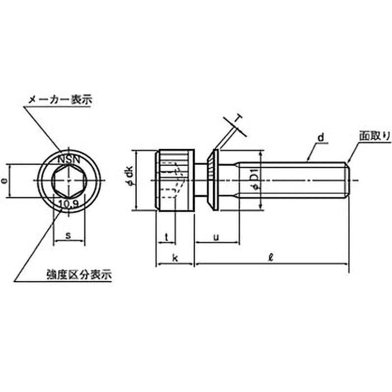 日産ネジ WAソケット Sタイプ (SCM435/亜鉛黒)(小箱)-