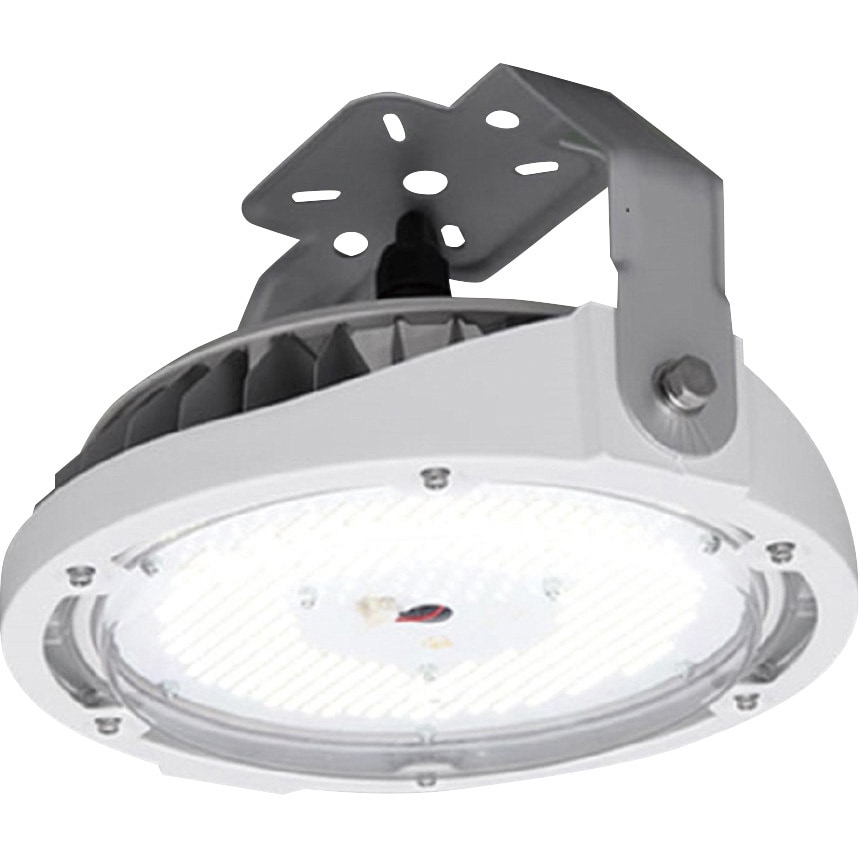 今季一番 LED照明 RZシリーズ LED投光器 LDRSP85N-110BS