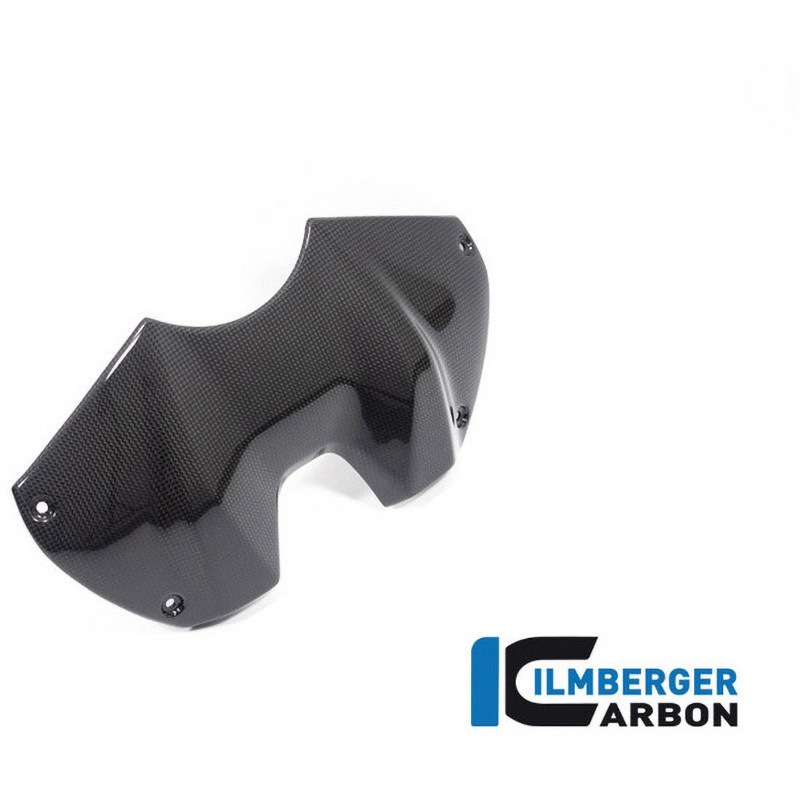 TAO.001.V422G.K Ilmberger / イルムバーガー タンクパネル フロント グロス Panigale V4 (S) from 2022 1個 ILMBERGER (イルムバーガーカーボンパーツ) 【通販モノタロウ】 loantap.thearks.in
