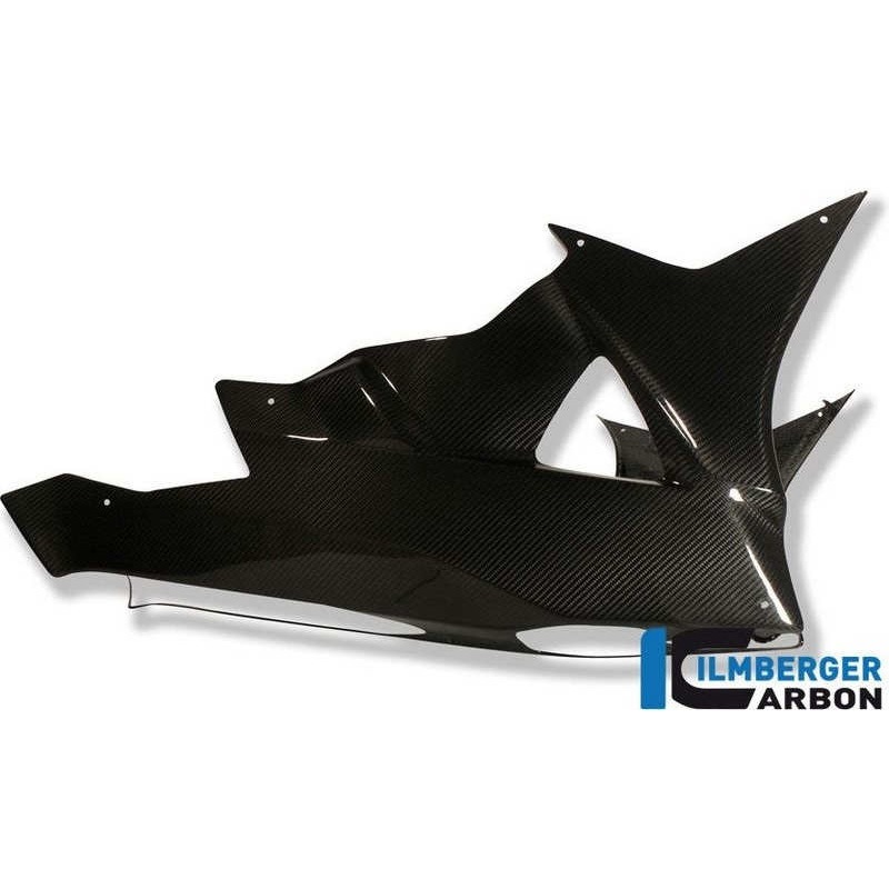 イルムバーガー S1000RR カーボンリアハガーアッパーチェーンガード付