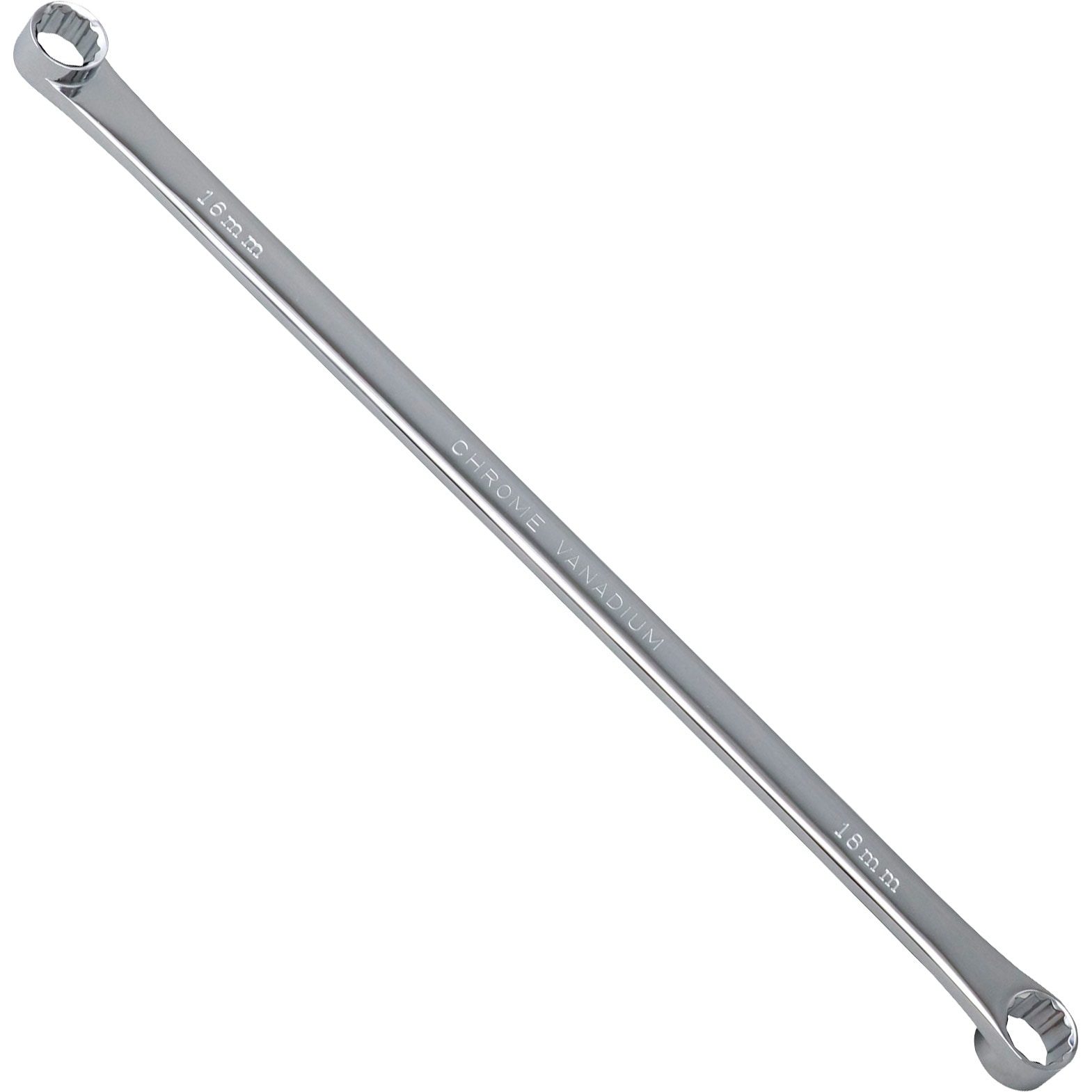 れんこんページ 鈴木農園の泥付きれんこん