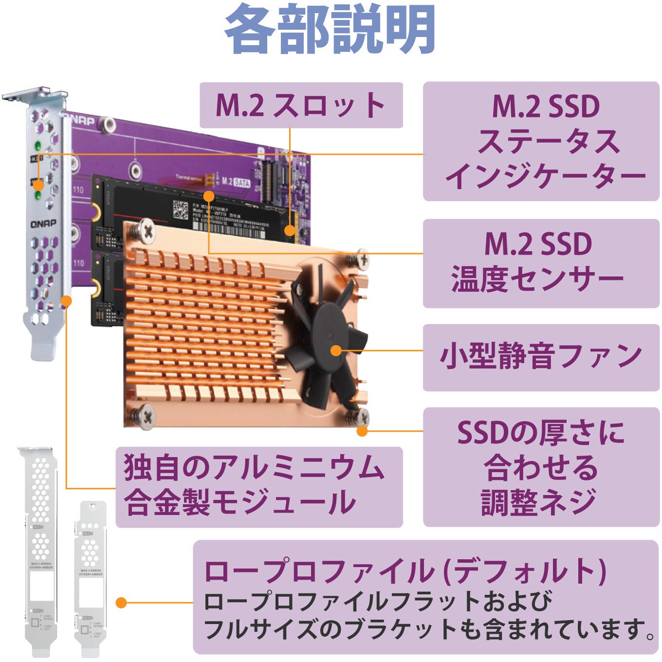 QM2-2P-344A/F QNAP 拡張カード 2×M.2 PCIe SSD (単体(HDD搭載なし)) ネットワーク 1個 QNAP  【通販モノタロウ】