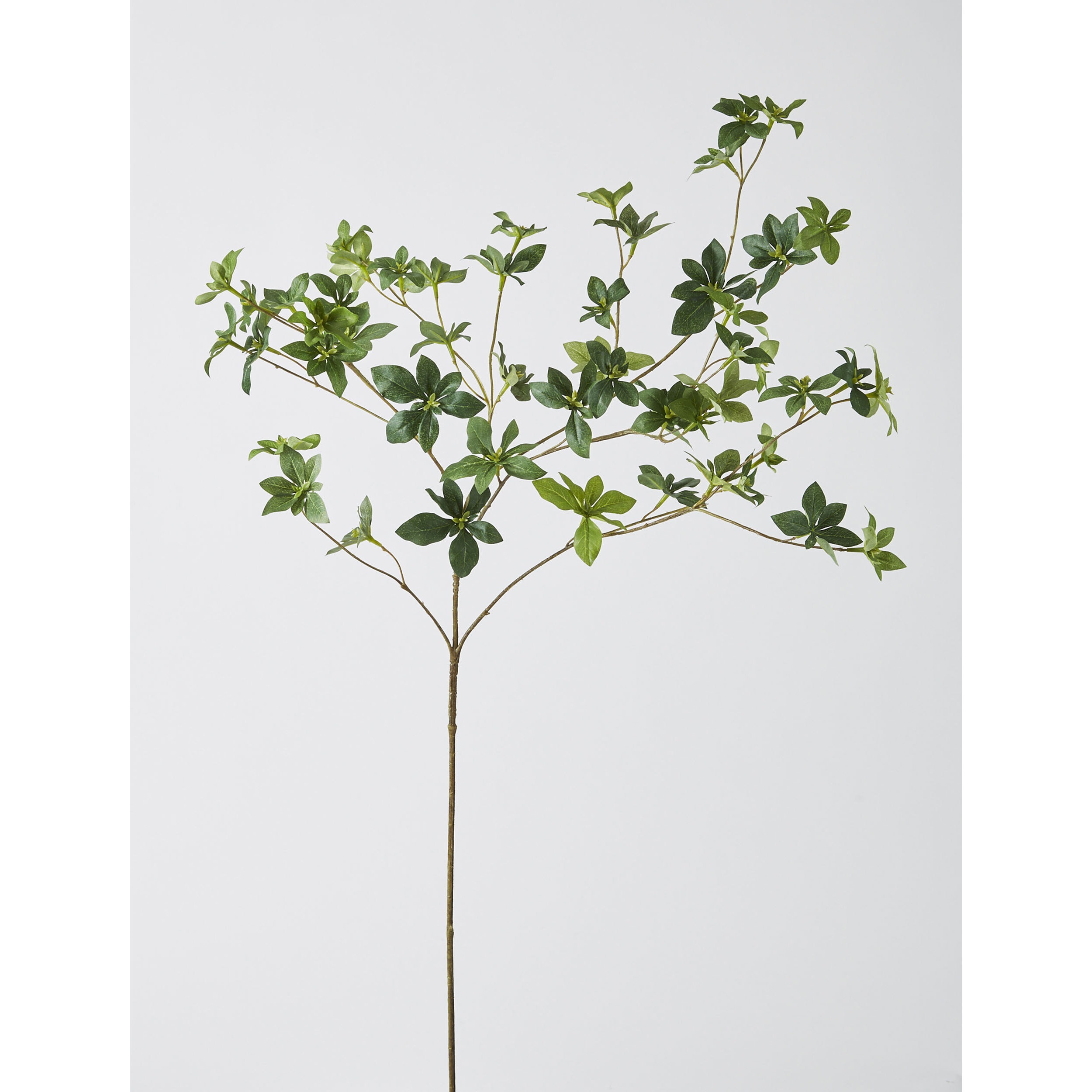 VR22105 どうだんつつじ H99cm グリーン 【エコマーク取得品】 1ケース(48本) 日本ビダヤコム 【通販モノタロウ】