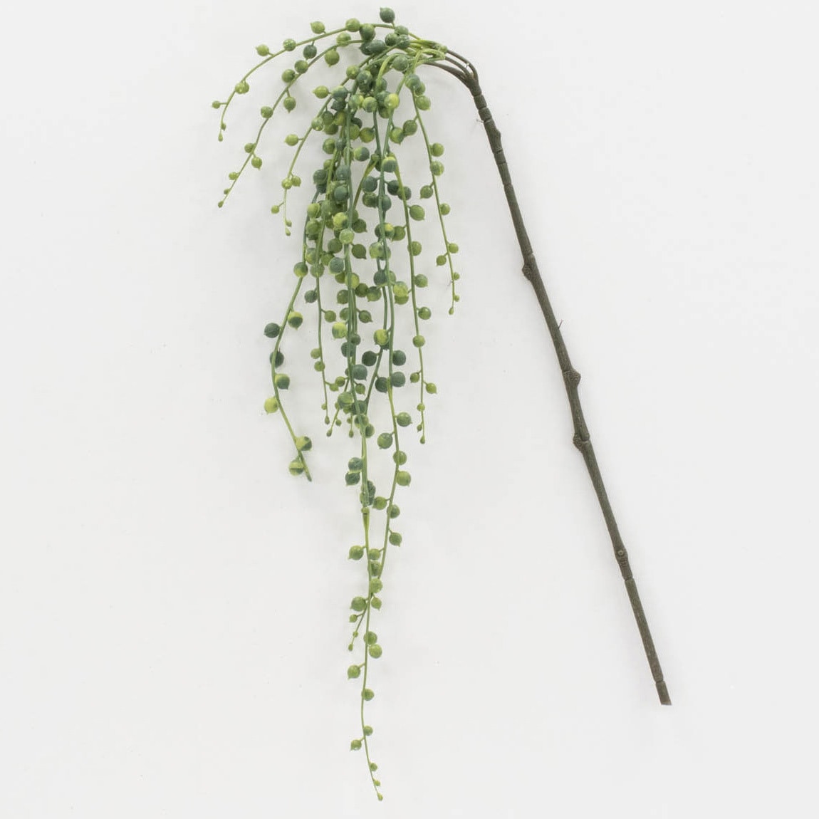 VR24013 グリーンネックレス ツートン/グリーン 1箱(6本) 日本ビダヤコム 【通販モノタロウ】