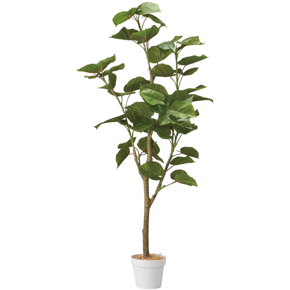 8725-9614 フィカスウンベラータ 人工樹木 フェイクグリーン