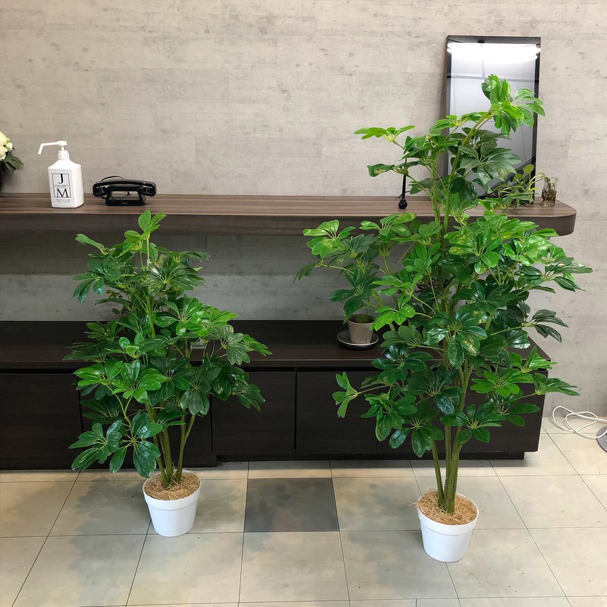 シェフレラ木立 人工樹木 フェイクグリーン＜シェフレラ＞H100cmの通販・卸売り | アイ