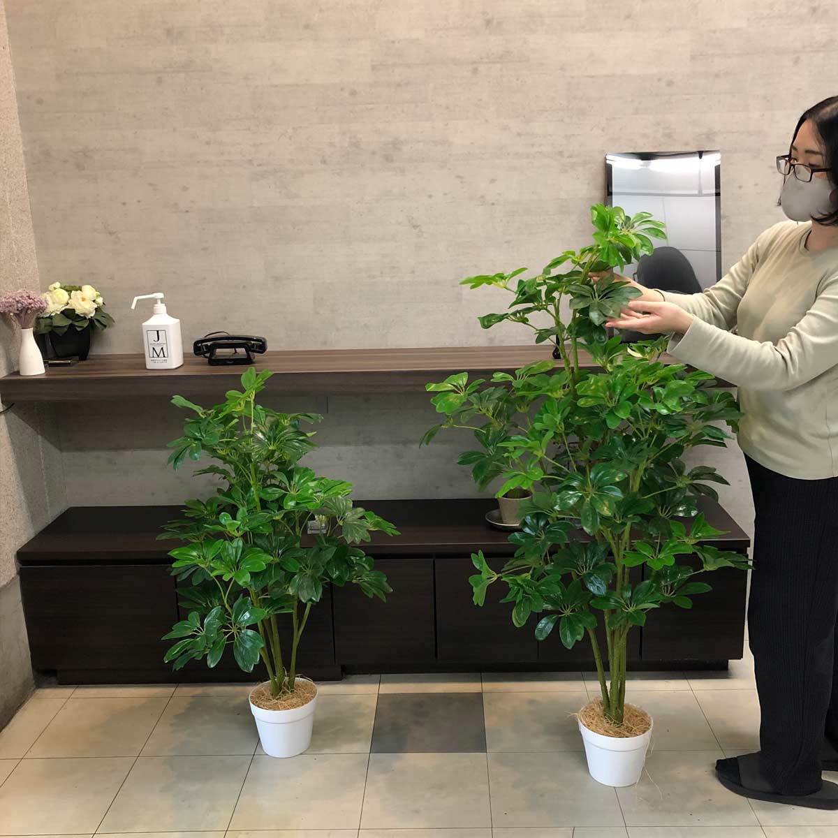 光触媒 人工観葉植物 ウォールグリーン フェイクグリーン シェフレラ