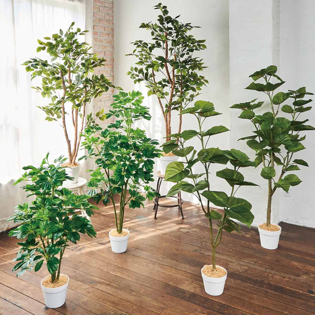 シェフレラ木立 人工樹木 フェイクグリーン＜シェフレラ＞H100cmの通販・卸売り | アイ