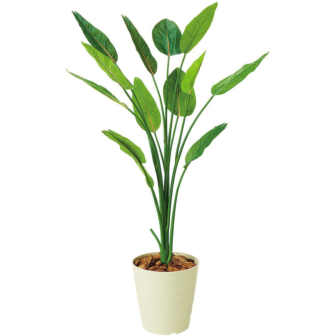 30431-3 ストレチア H160cm 人工樹木 フェイクグリーン インテリア