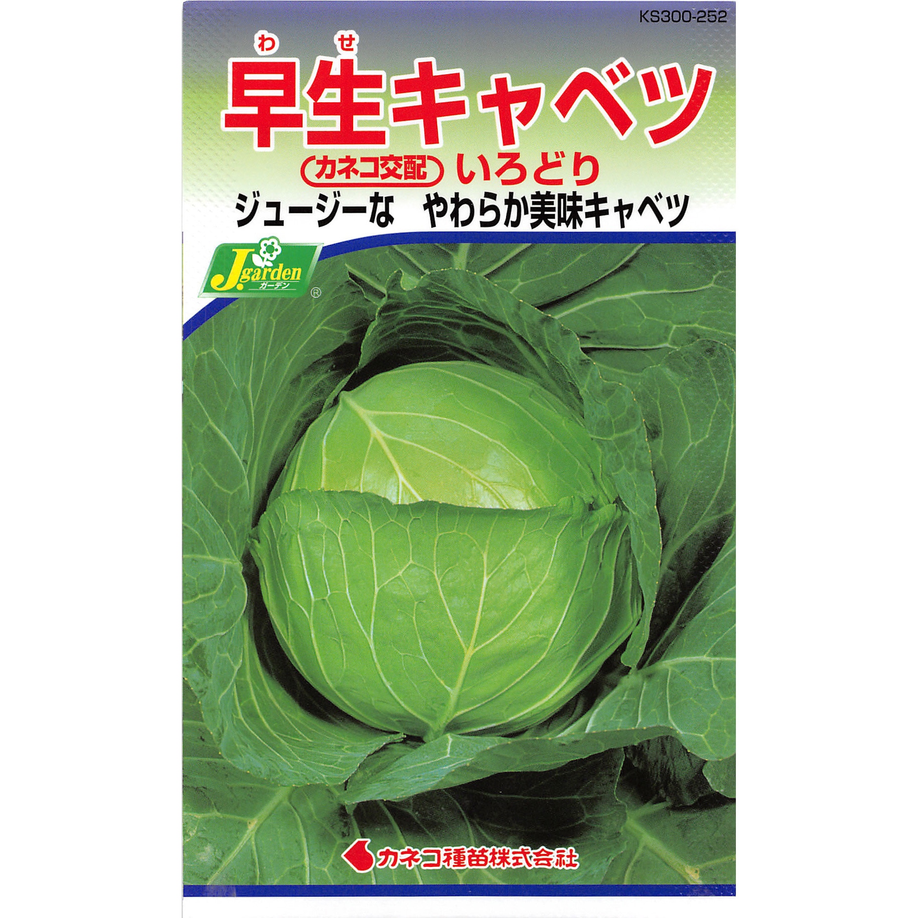 まいさま専用ページ キャベツ様専用 キャベツ太郎様 専用 キャベツ太郎様 専用ページ