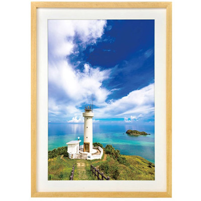 FWMM01-NTA3N 木製額縁 MM-01 A3ノビサイズ FWMM01シリーズ ハクバ写真産業 ナチュラル色