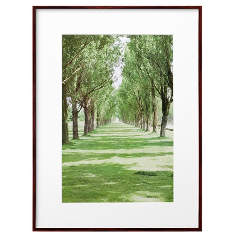 FZG01-A3NBR ZEROフレーム G-01 A3ノビ FZG01-A3シリーズ ハクバ写真産業 ブラウン色