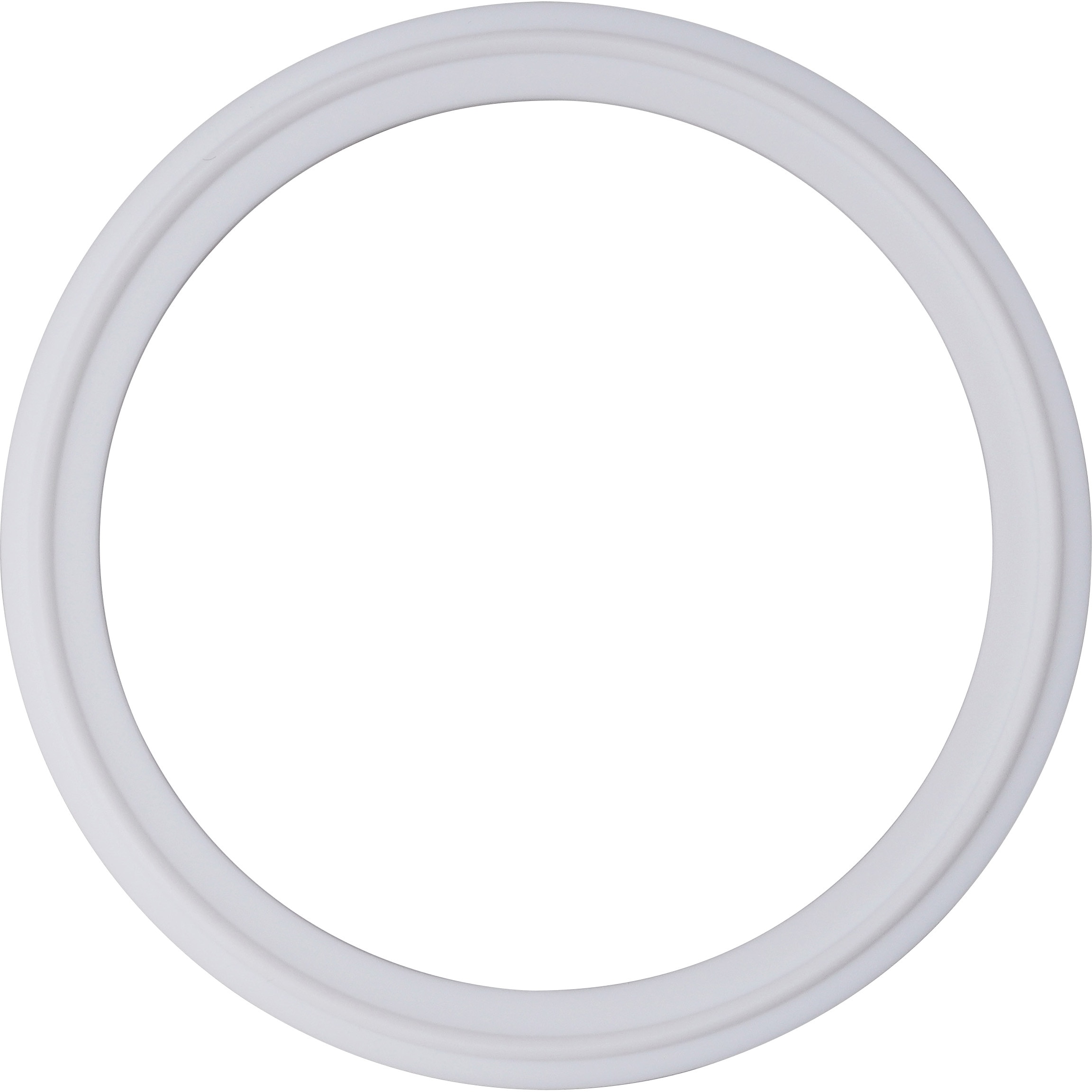 ADVANTEC (アドバンテック) 4Sフェルールガスケット(パーフロ) 19504029 ガスケット PTFE トーステ サニタリー継手(ガスケット) 通販モノタロウ