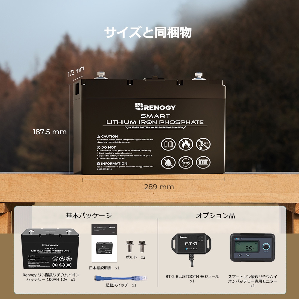 RENOGY スマート リン酸鉄リチウムイオンバッテリーRBT100LFP12S RBT100LFP12SH-G2-JP リン酸鉄リチウムイオンバッテリー 1個