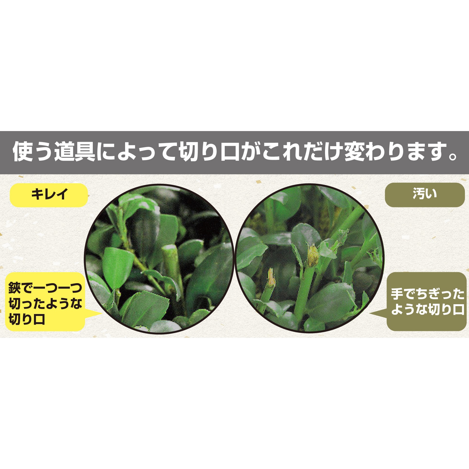 DKR-0330C-BK 高枝電動バリカン チップレシーバー付 アルス