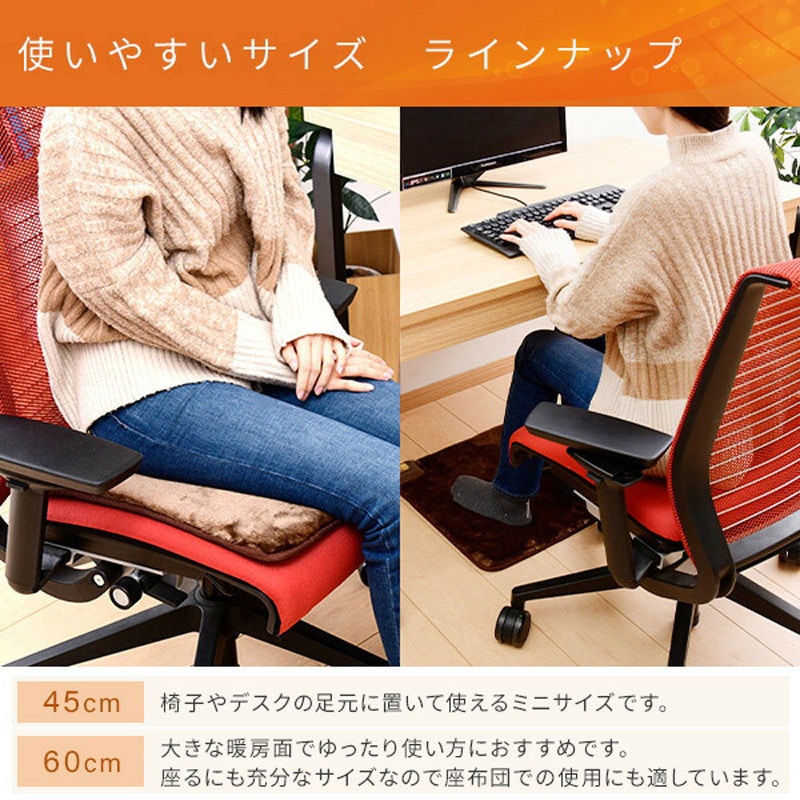 【IRONマット】サン様★専用ページ Lisa Larson（リサラーソン） 玄関マット スッシー 50×70 cm 洗える