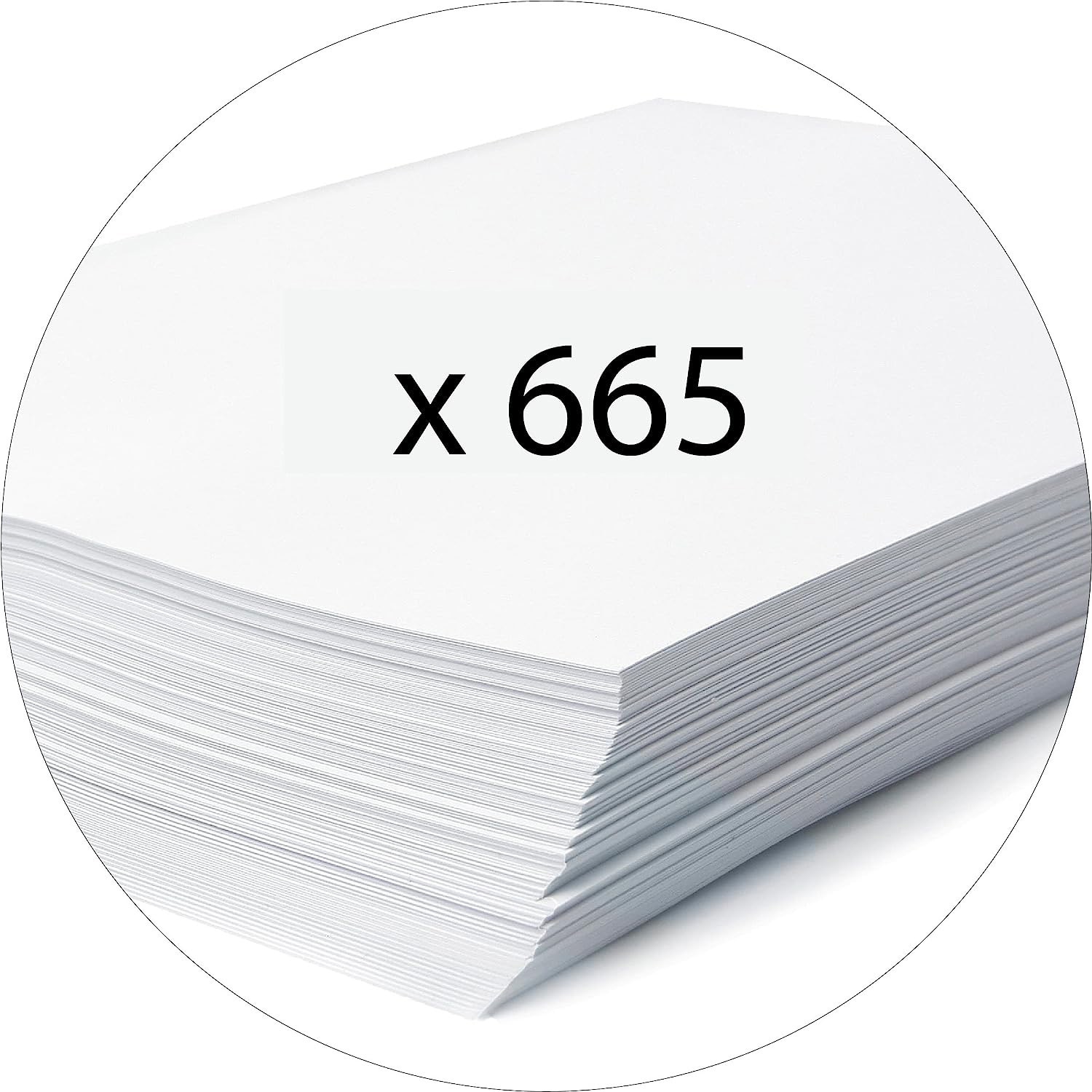 53746E レバーアーチ ファイル A4 1冊 EXACOMPTA 【通販モノタロウ】