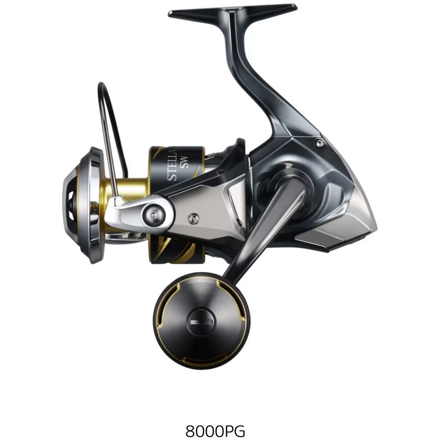 8000PG 25 ステラ SW SHIMANO(シマノ) 自重635g ストローク22mm 8000PG
