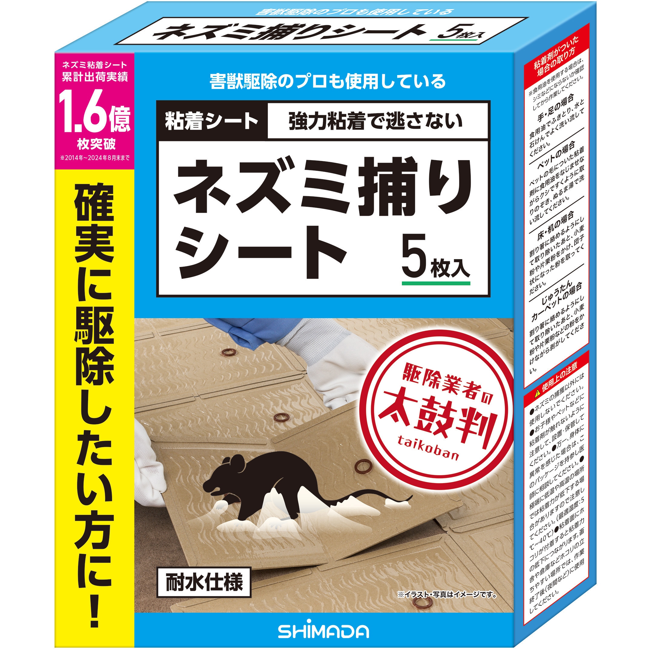 活動歴および当時の関連ビジュアル記録