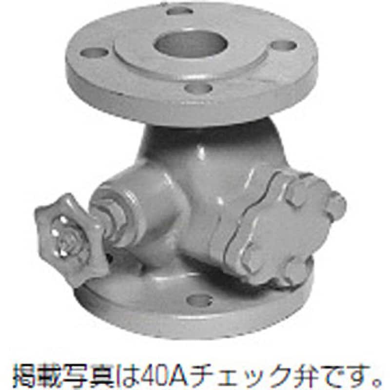 お買い求めしやすい価格 日本精器 高圧ラインチェック弁 BN-9L21H-10