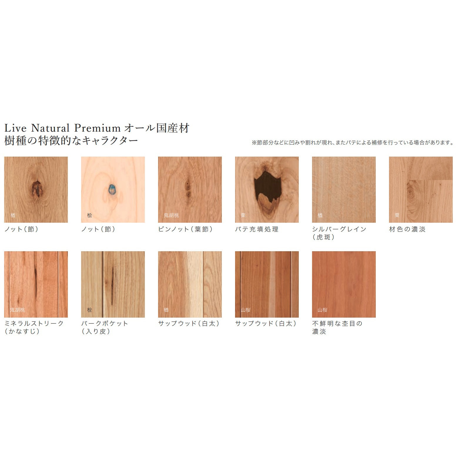 PBTA8KJ09WDJS ライブナチュラル プレミアム オール国産材 朝日ウッド