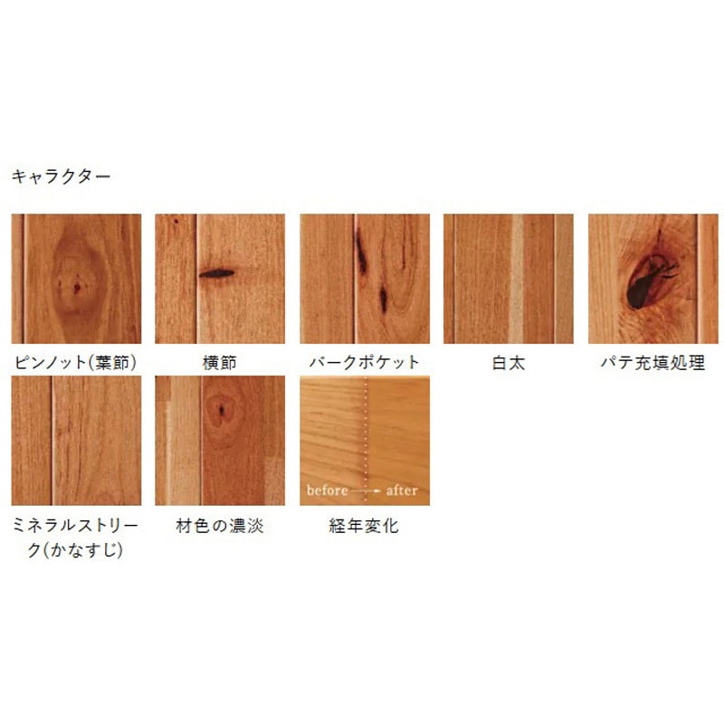 PBTA8KJ28DJS ライブナチュラル プレミアム オール国産材 朝日ウッド