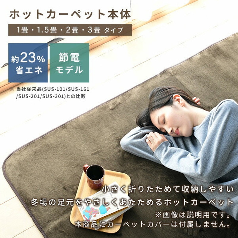 YZF-304LE(BR) 空気をキレイにするホットカーペット カバー付き 1枚