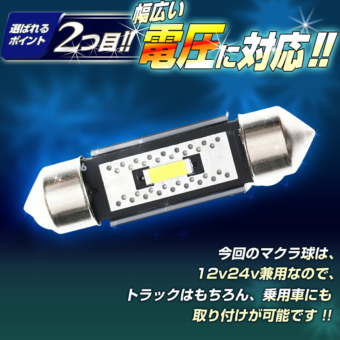 TAKE136 マクラ球 T10×28mm 31mm 36mm 39mm 41mm 12v/24v兼用 竹村商会