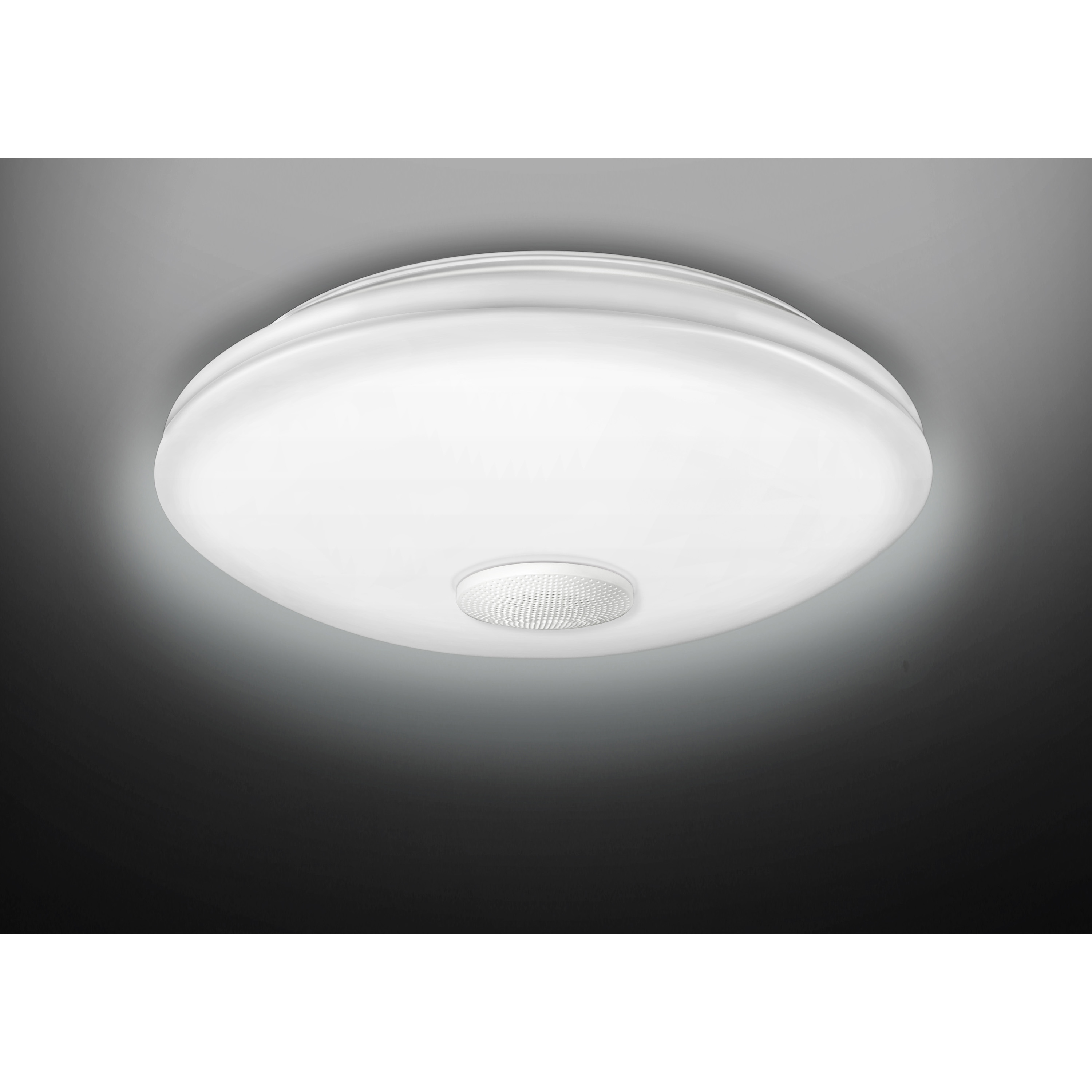 NLEH08018A-SDLD LEDシーリンクスピーカー付昼光色 1台 東芝 【通販