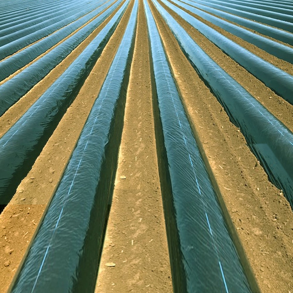 グリーンマルチ 大倉工業 幅1350mm長さ200m 1セット(3本) - 【通販