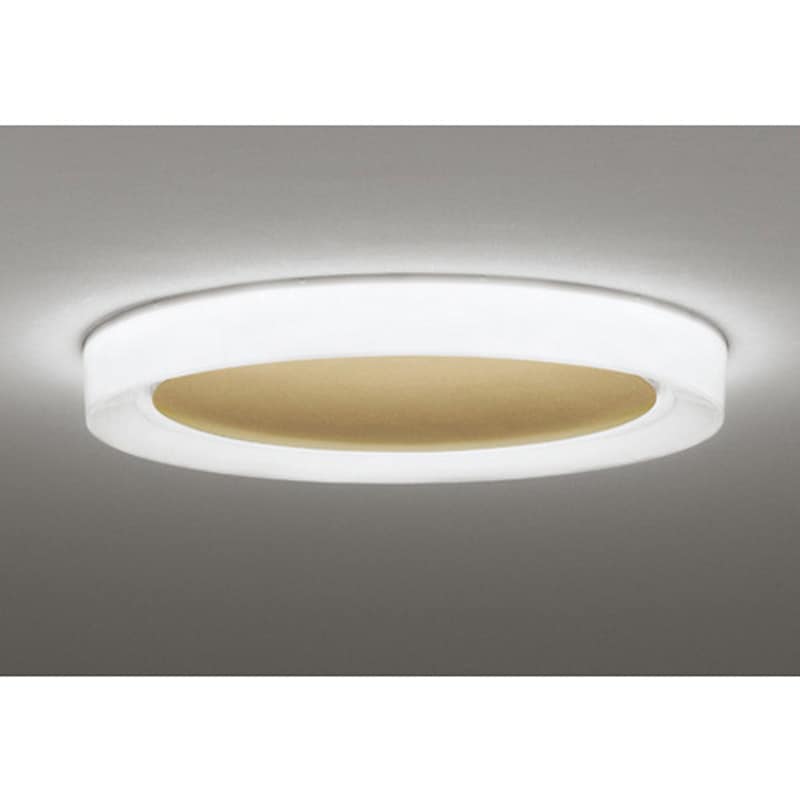 OL291609BR オーデリック CONNECTED LIGHTING 高演色LED
