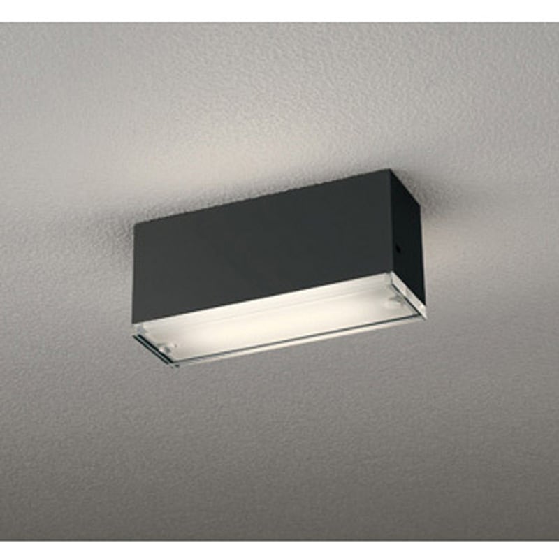 OG264099LR オーデリック 高演色LED エクステリア ポーチライト 小型シーリング 拡散光カバータイプ ODELIC(オーデリック) 電球色 幅64mm長さ194mm  OG264099LR