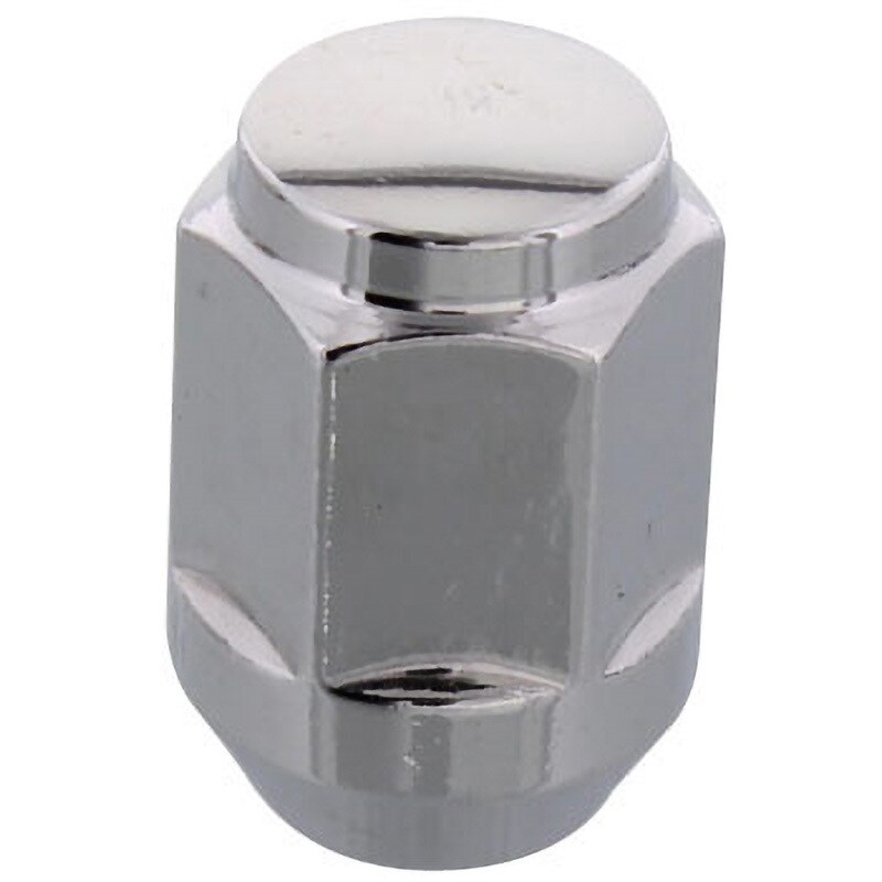 LNF15-21-4 袋ナット(ツバ付) TECH 対辺21mm 1袋(4個) LNF15-21 LNF15-21-4 袋ナット(ツバ付) TECH 対辺21mm 1袋(4個) LNF15-21