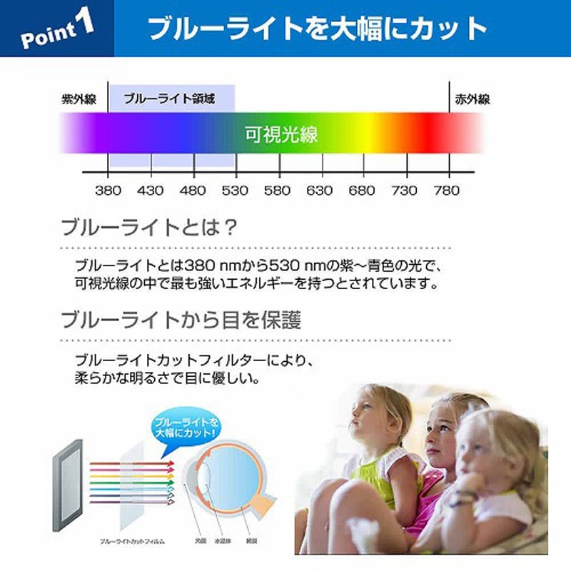 free-fpcblc-65-sizb 液晶保護フィルム 大型テレビ用保護パネル