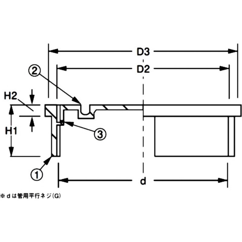 D-COA 65 掃除口(内ネジ) アウス 呼び65 D-COA 65 - 【通販 D-COA 65 掃除口(内ネジ) アウス 呼び65 D-COA 65 - 【通販
