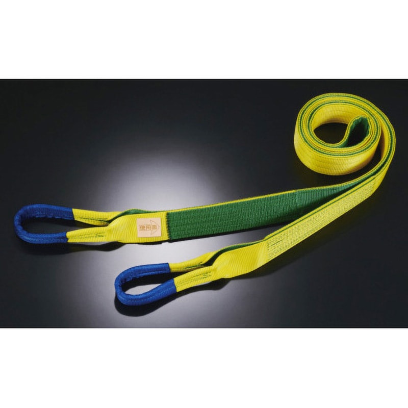 R-4E-100-10 ベルトスリング Rタイプ 田村総業 荷重4t 長さ10m 25,886円