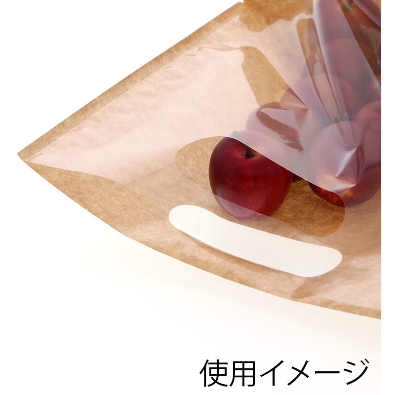 【35％OFF】 14671 手抜きガゼット袋 1パック(100枚 スタンドパック 紙プラス 保存容器・ケース