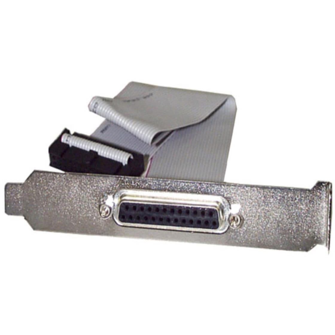 Plate25f16 40cm マザーボードピンヘッダー接続パラレル Lpt ポート増設ケーブル Pciブラケット付き Db25 メス Idcリボン ケーブル 26ピン Startech Com 40 6cm グレー 長さ 406mm Plate25f16 1個 通販モノタロウ 46239333