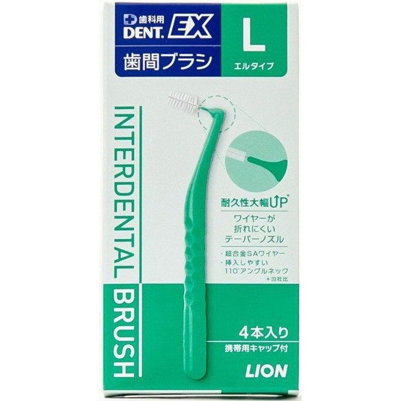 セール　LION　歯磨き指導用模型・ブラシ付き 10000526.jpg