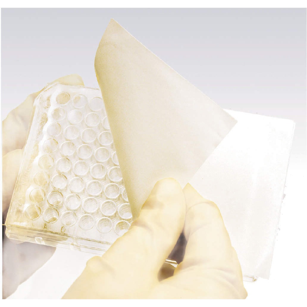 236366 シーリングテープ Thermo Fisher Scientific ポリエステル
