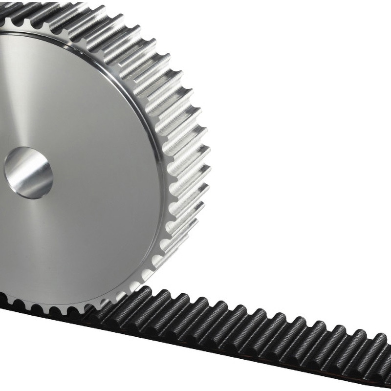 ペルー産　巨大バッタ　展示会用　168mm (開長) ペルー産 巨大バッタ 展示会用 168mm (開長) ペルー産 巨大