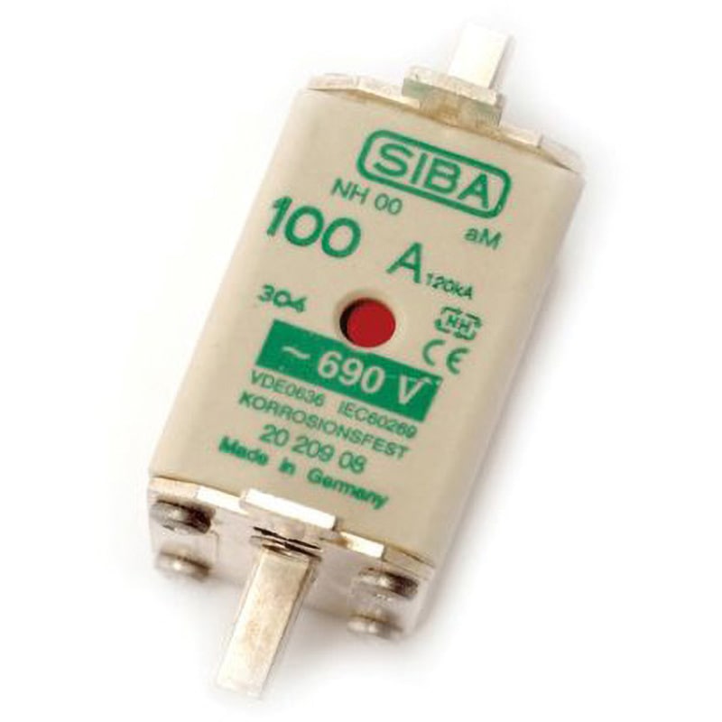 20-209-08/100A SIBA ヒューズリンク SIBA AC690V 100A 規格IEC60269-2 サイズ54×29.5×46mm 1袋(3個)