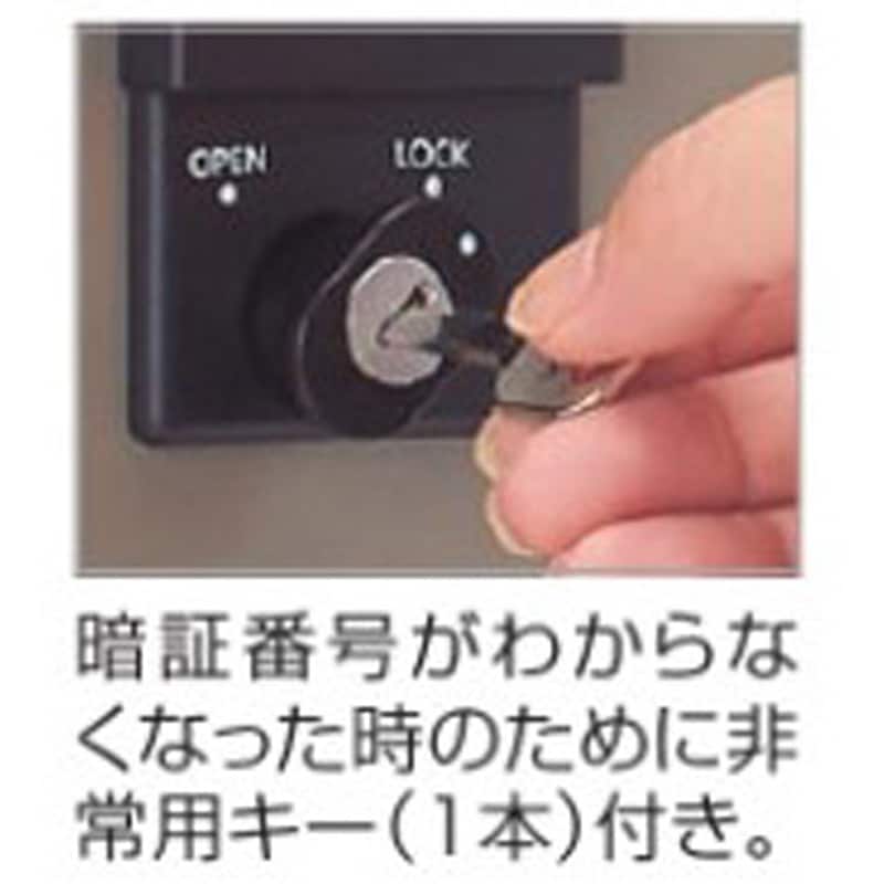 QB3-D12LB 宅配ボックス QB3型 独立式 四国化成 (投入口)前入 QB3-D12LB 宅配ボックス QB3型 独立式 四国化成 (投入口)前入